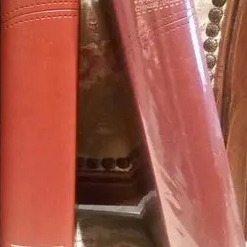 Update of the Chinese-English Esv Special Leather Case