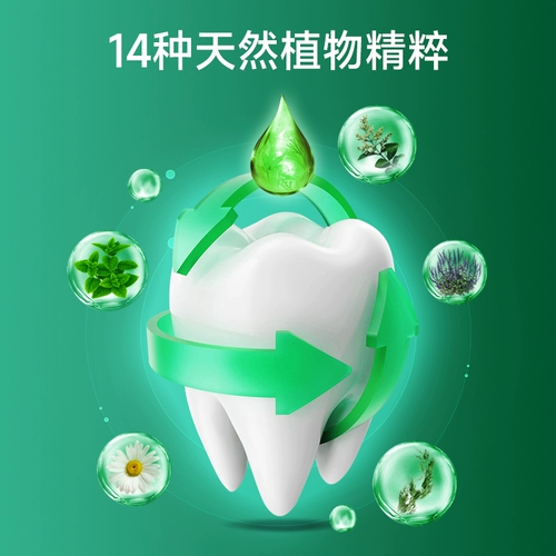 Таиланд Стоманист Дэн Ши Мятный мятный штурма