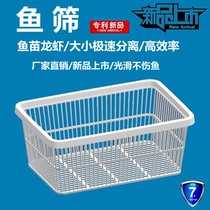 Plastic fish sieve fish fry yellow pelteobagrus fish loach lobster prawn size graded rectangular griddle yellow eel floating water