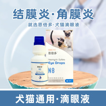 Enbedo dogs and cats universal eye drops for conjunctivitis keratitis and other neomycin sulfate 8ml box