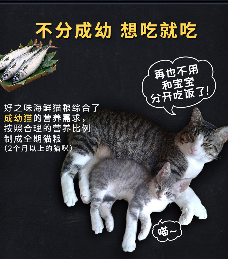 Thức ăn ngon cho mèo 5 kg Cá hải sản Hương vị thức ăn cho mèo Thức ăn cho mèo 2,5kg Thức ăn cho mèo Nori - Cat Staples thức ăn phụ kiện cho mèo