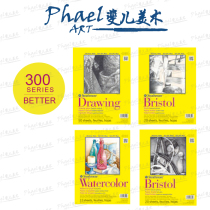 Strathmore Color lead Sketch Multi-function 300 series Ultra-realistic Bristol USA