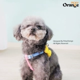 Собака белый снежный направление веревка цвета красочный живот мальчики для живота ремешок для животных, ходячий кошка, ходящая веревка для собак, лук