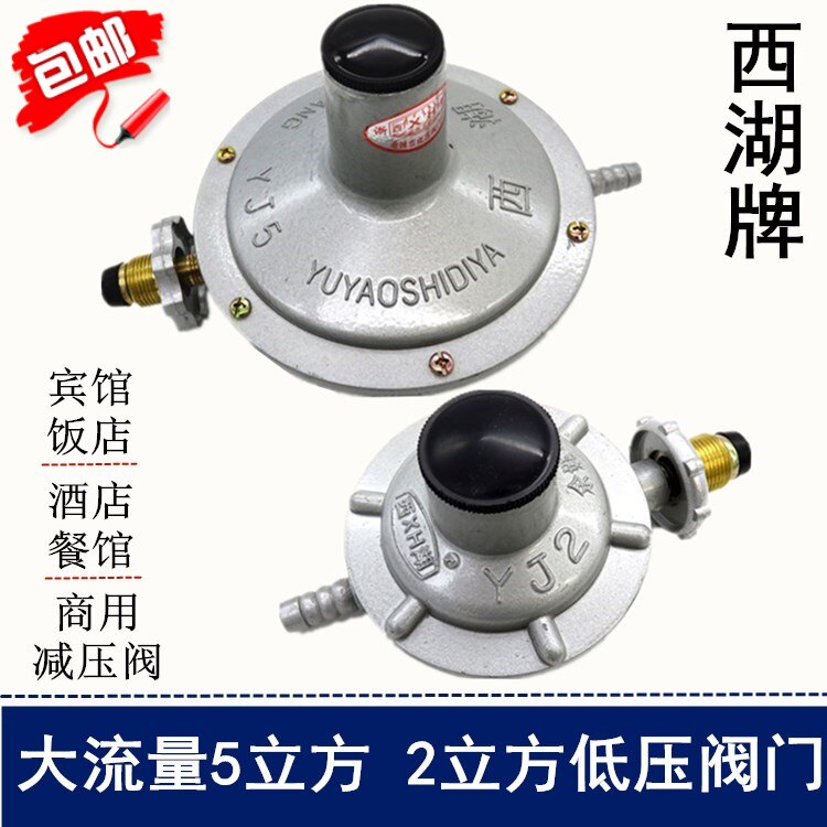 West Lake Plate Large Flow Gas Valve Liquefied Petroleum Gas YJ5 Cube YJ2 Cube Pressure Pressure Pressure reducing valve