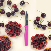 Paris sweet shop PCB creation Serrated knife Stainless steel France imported multi-function kitchen baking Western style