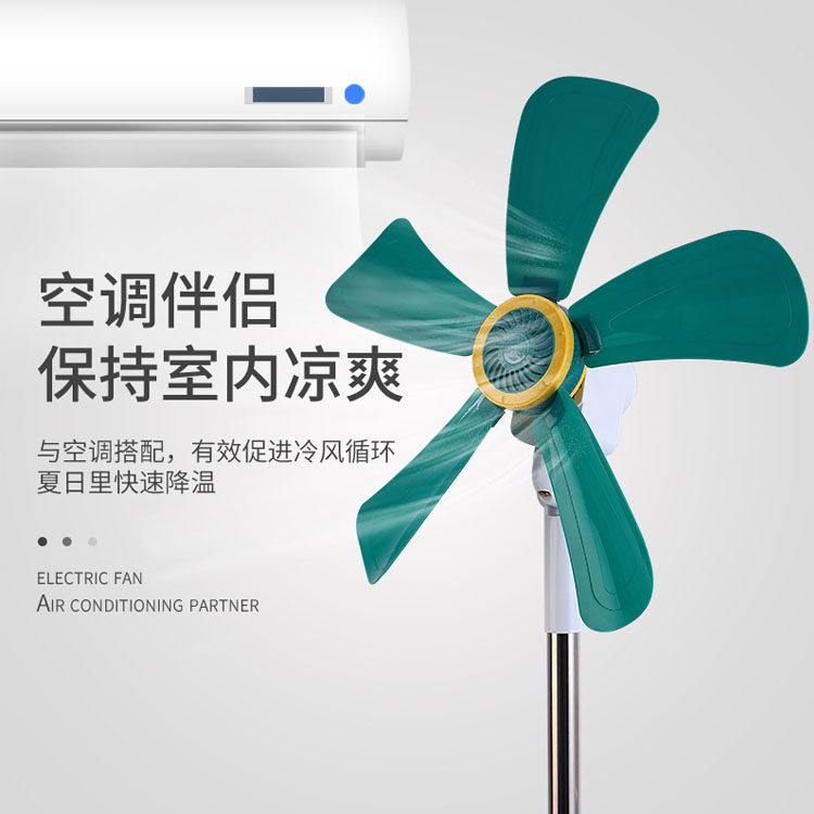 港蝶风扇