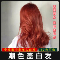 Hair Salon Special Cover White Hair Dye Hair Cream Barber Shop Single Branch Micro-Tide Color Hair Color Hair Color Cover White Dye Cream Wholesale