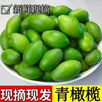 Olive fruit fresh Chaoshan is produced when the season now picks up a pregnant woman to give birth to a soup bubble wine 1 catty of green olives