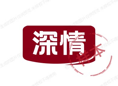 深情车载店