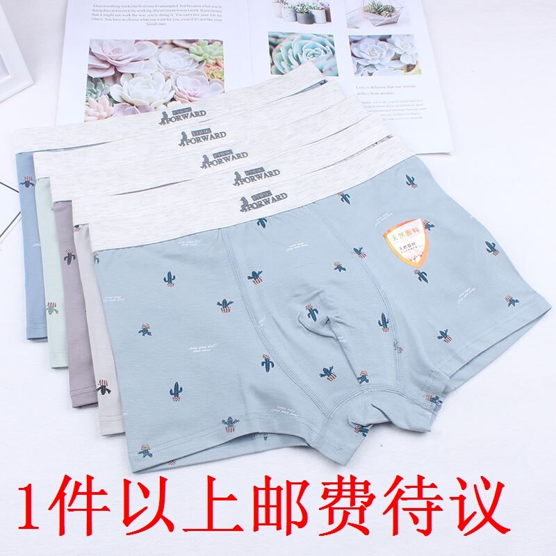 Teen Pure Cotton Underwear Fat Boy Wide Side Not Leaner Quadrilateral Pants 3D No Marks Big Size High School Student Shorts