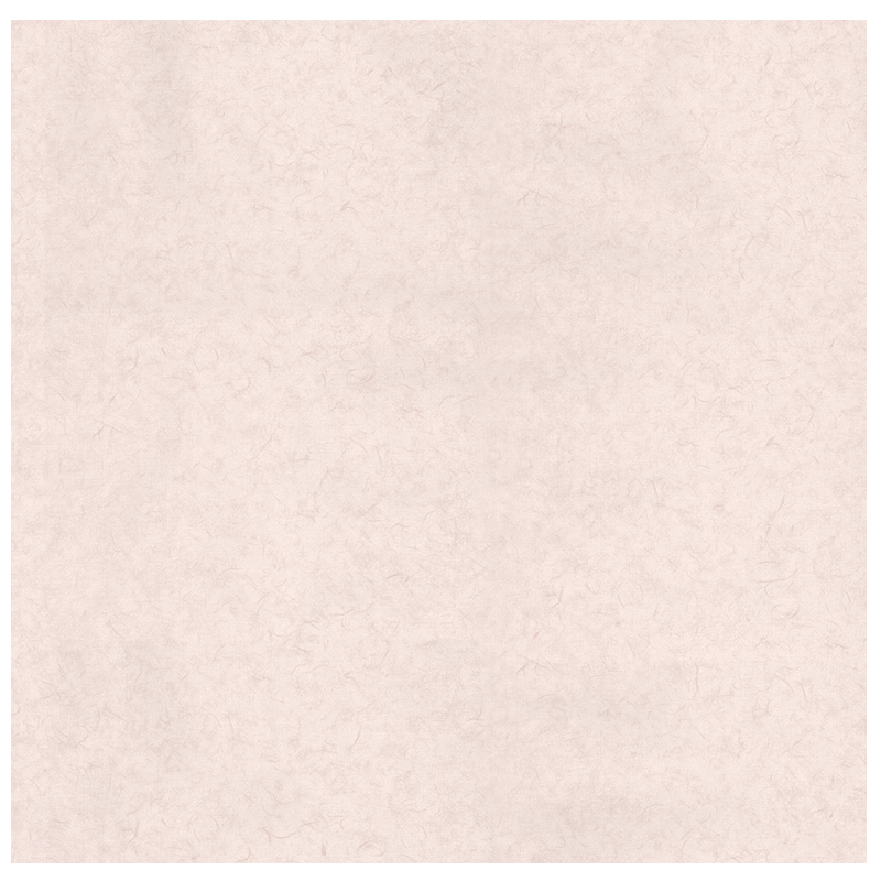 Grammy wallpaper Netherlands imported non-woven material modern style living room background wall Grass 218305