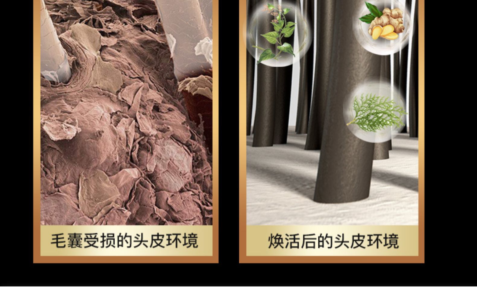霸王 防脱发 育发增发液 60ml 图4