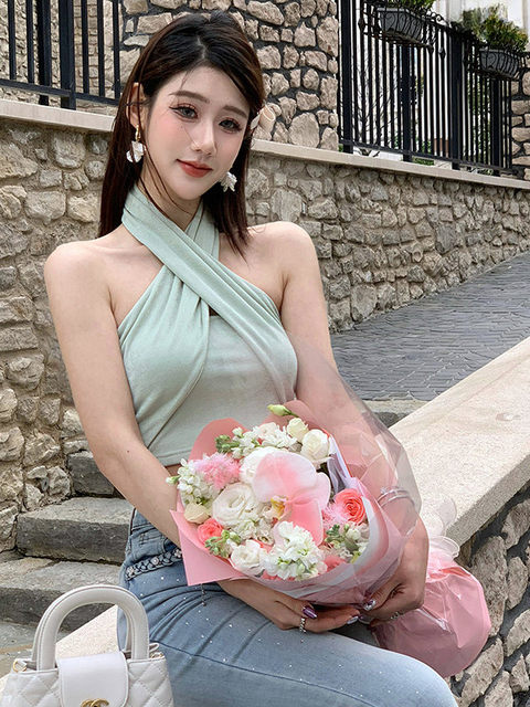 Hollinna Cross Halter Short T-Shirt Women's Summer 2025 New Designer Niche Accessible Luxury High-End Top