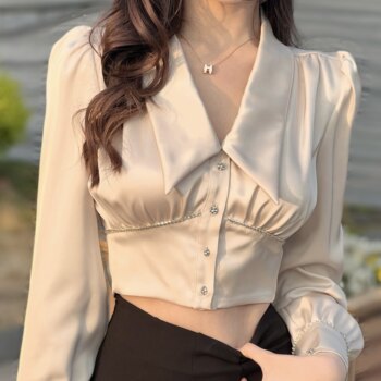 Hollin Long-Sleeved Acetate Satin Shirt for Women Spring & Fall 2025 New Design Niche V Neck Short Shirt