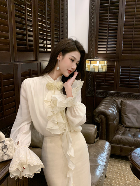 Hollin French-Style Long-Sleeved Shirt for Women, Spring and Autumn 2025 New Elegant and Sophisticated Design Shirt Top