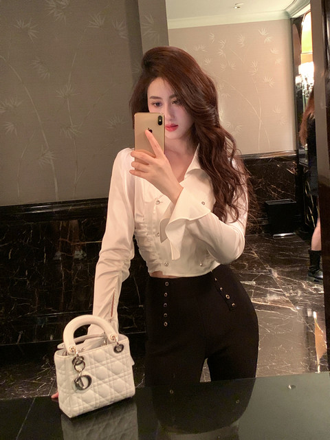 Hollinna French-Style Long-Sleeve Shirt for Women, Spring and Autumn 2025 New Model, Waist-Cinching, Slimming, Versatile, Designer-Inspired Niche Top