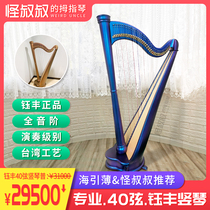 Celtic harp Ireland 40 strings 38 strings full semitone professional performance test large Kristal classical music l