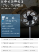 Zhonglian FSD-30 Black Model