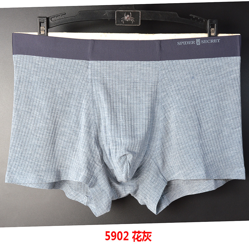 Genuine Spider bí mật Mens Panties Stripes Mordale bông Mid-eo Mens phẳng quần Trưởng Box 5902.