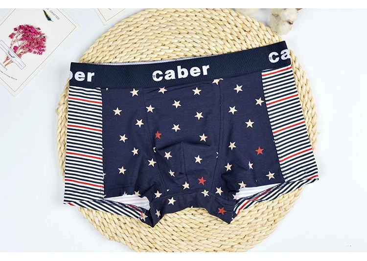 Caber Cabaret vài đồ lót nam modal cotton boxer tóm tắt mid-mid sexy