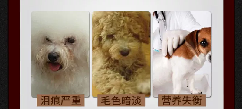 Thức ăn cho chó Keji chó trưởng thành chó nhỏ dinh dưỡng canxi tự nhiên lông nước mắt thức ăn cho chó trưởng thành Keji 30 kg - Chó Staples