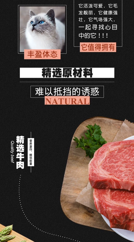 Thức ăn cho mèo, mèo non, thức ăn cho mèo, bóng lông, ngắn, đẹp, mèo xanh, ngắn, bánh sữa mèo Xiêm, thức ăn cho mèo cá hồi đặc biệt, 5 kg - Cat Staples thức ăn mèo con