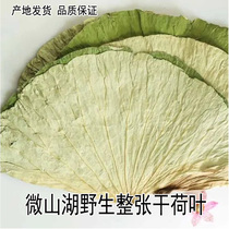 Large lotus leaf 5 pounds Weishan Lake whole dried lotus leaf natural additive-free lotus leaf chicken lotus leaf rice lotus leaf tea