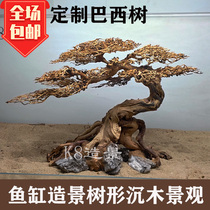 New products fish tank building treeking treewood Brazil trees welcome guests pine custom view Moss tree water ethnic forest view