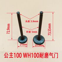 Five small princesses 100 Yoetto delight 100 WH100T-H A B G into the exhaust door oil seal