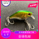 Shallow diving ring bead fan chubby Minnow crank 5g 4cm LYDAYE Luya jungle