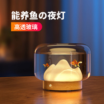 Creative warm mountain night light charging bedroom sleep bedside lamp desktop glass fish tank living room decoration atmosphere desk lamp