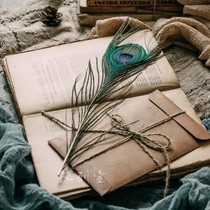 Peacock hair diy handmade feather natural color craft decoration feather decoration props photography props