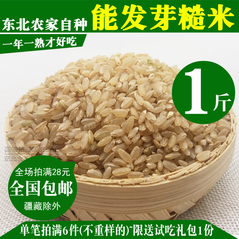 Freshly ground brown rice germ nutritious rice farm japonica rice grains can germinate black rice grains 500g