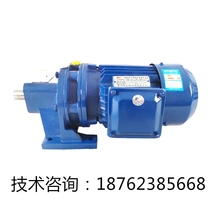 BW XW series cycloidal pinwheel reducer planetary transmission BLD BWD XWD with three-phase asynchronous motor