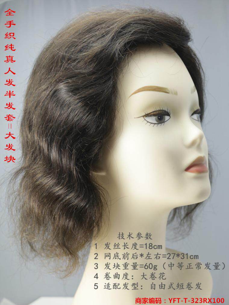 Extension mèches - Ref 225163 Image 6