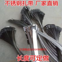 Stainless steel cable ties pole Rod plate metal ties power signage hoop strap 1 m 1 2 m