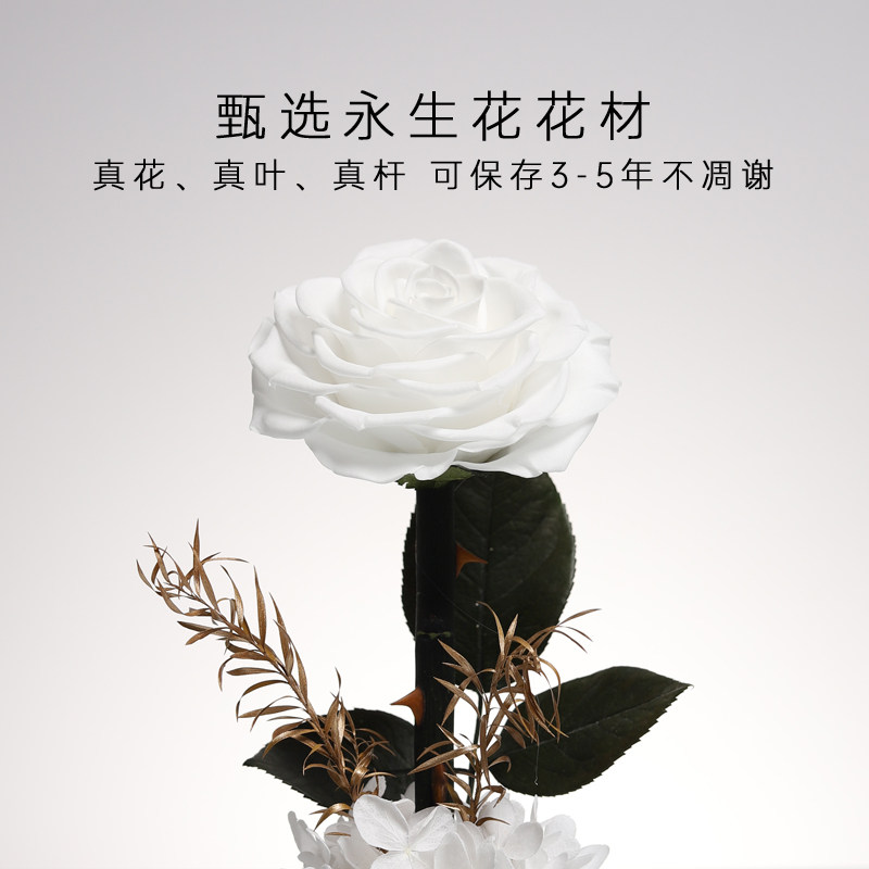 揭秘！阿里妈妈新品，细节图让你尖叫！