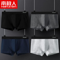 (Antarctic Man 2 4 pack) Mens pure cotton underwear Male student large size boxer shorts four corners shorts