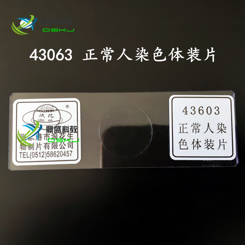 43603正常人染色体装片 单片 生物显微镜切片 教学实验化学仪器材