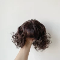 S045 Brown Short Roll Wig