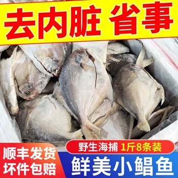 Small pomfret fresh frozen changyu flat fish fresh frozen small seafood aquatic fish whole box commercial barbecue ingredients