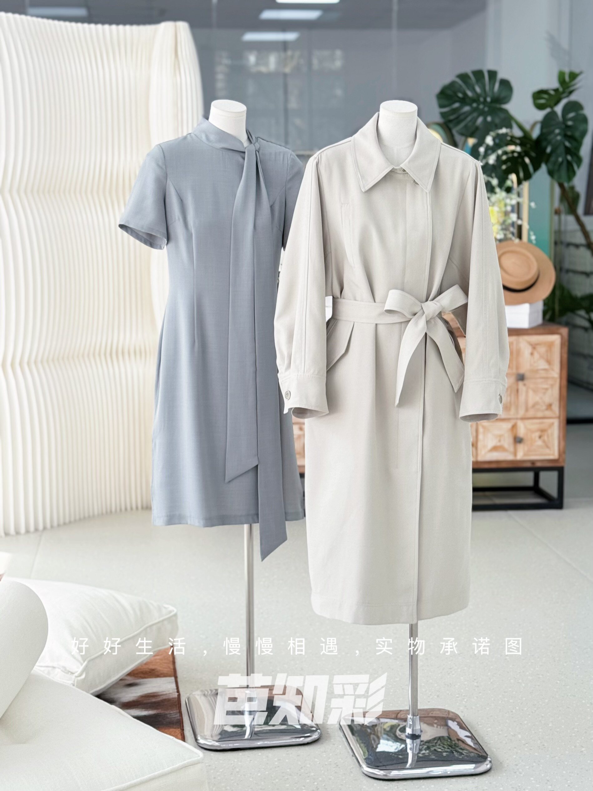 CY6948月下桂 (9).jpg