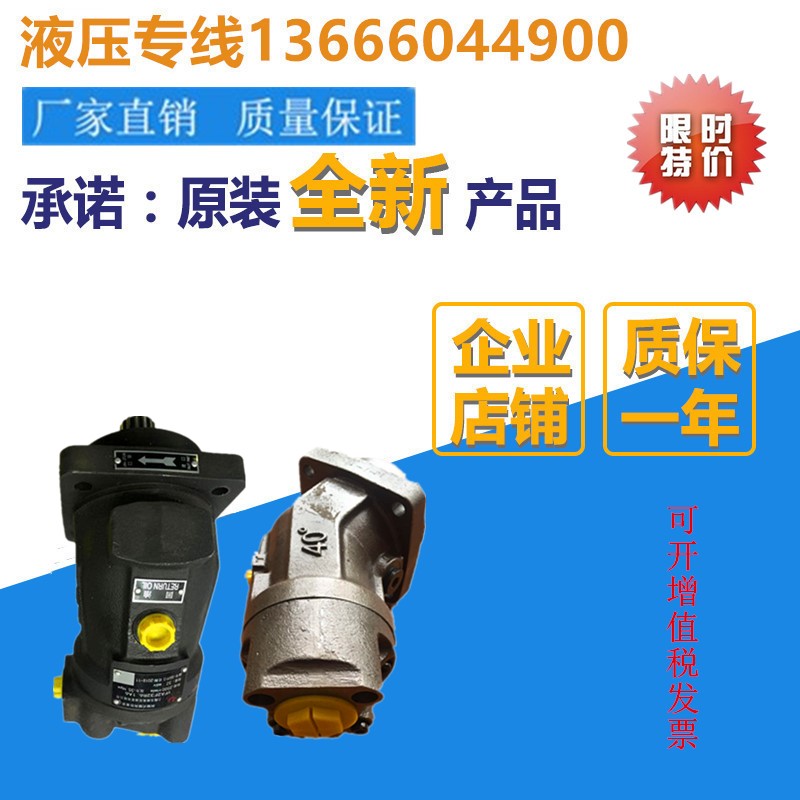 Beijing Walder Axial Piston Pump Motor A2FM107 61W-VAB010 A2FM125 61W-VAB010