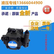Northern fine machine Northman hydraulic oil pump HVPVC-F20 30 40-A4-02 high pressure variable vane pump