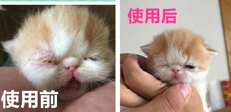 Teng Daniu thú cưng nhỏ mắt và thuốc nhỏ mắt mèo 30ml viêm kết mạc đến rách - Thuốc nhỏ mắt sanlein 0.1