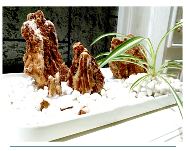 Cảnh quan đá gà xương đá cảnh quan trang trí đồ trang trí bể cá cảnh quan đá đá hồ cá đá ngàn lớp đá - Trang trí nội thất trang trí phòng khách nhà ống