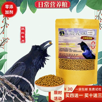 Crow couple daily nutritional food crow feed bird feed raven white-necked crow red-billed chough feed bird feed