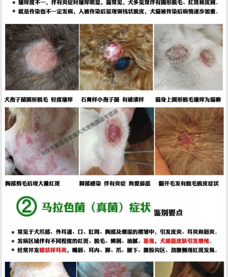 爱纳它贝肤芬宠物狗狗猫真菌口服猫癣藓皮肤病狗皮肤瘙痒皮屑掉毛 虎窝淘 爱纳它贝肤芬宠物狗狗猫真菌口服猫癣藓皮肤病狗皮肤瘙痒皮屑掉毛 虎窝淘