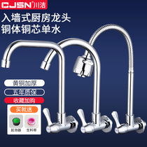 In-wall faucet Single cold water concealed kitchen sink basin Basin sink Balcony universal rotating copper body Quick open