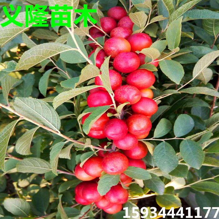 點擊打開原圖